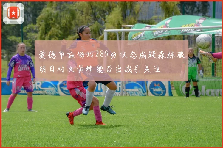 爱德华兹场均289分状态成疑森林狼明日对决黄蜂能否出战引关注