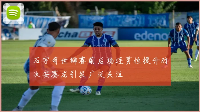 石宇奇世锦赛前后场连贯性提升对决安赛龙引发广泛关注